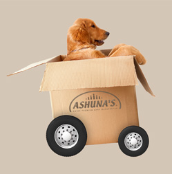 Ashuna's Hundeboutique und Barf Manufaktur - Bestellungen und Versand Hund